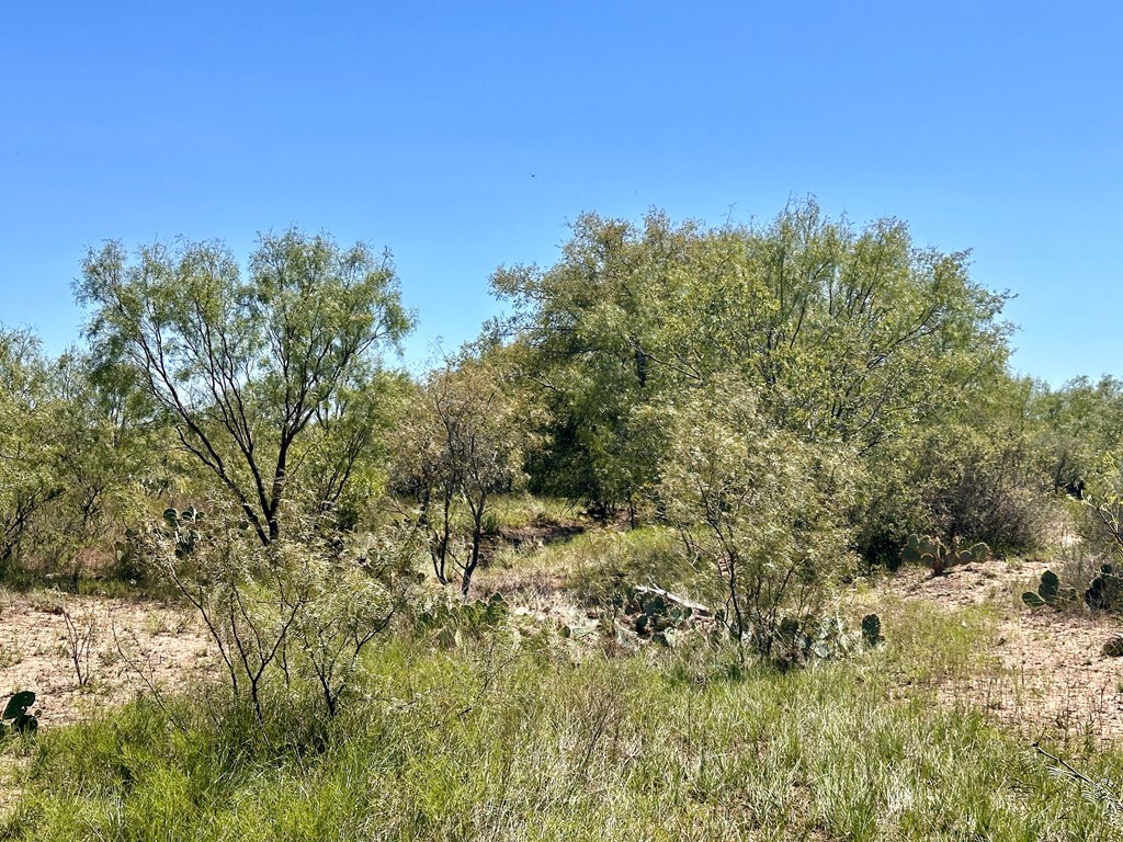 12088 Mule Deer Trail #7, San Angelo, Texas image 11