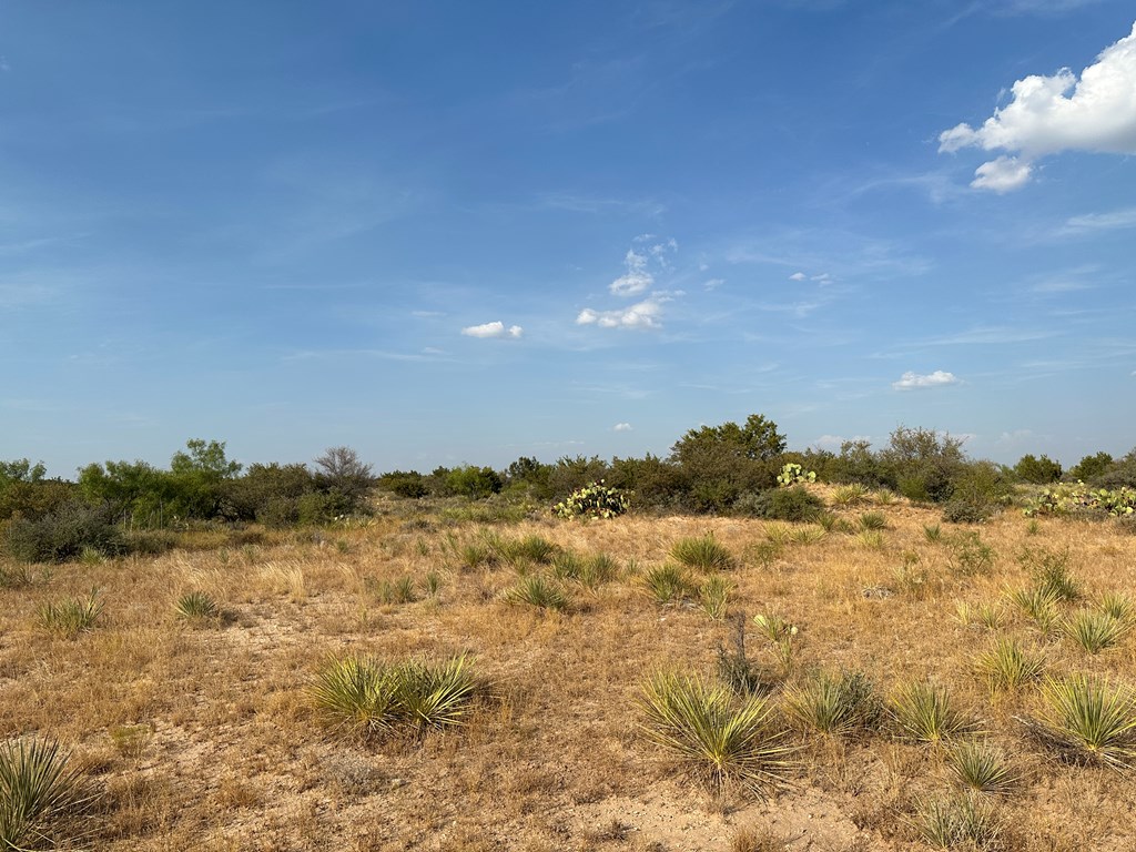 12088 Mule Deer Trail #7, San Angelo, Texas image 14