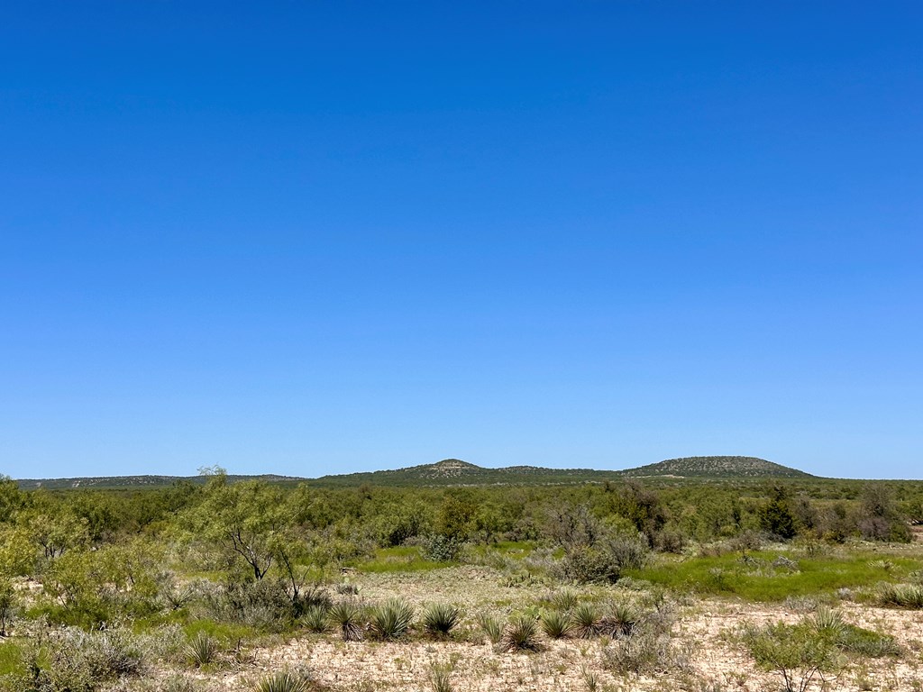 12088 Mule Deer Trail #7, San Angelo, Texas image 5