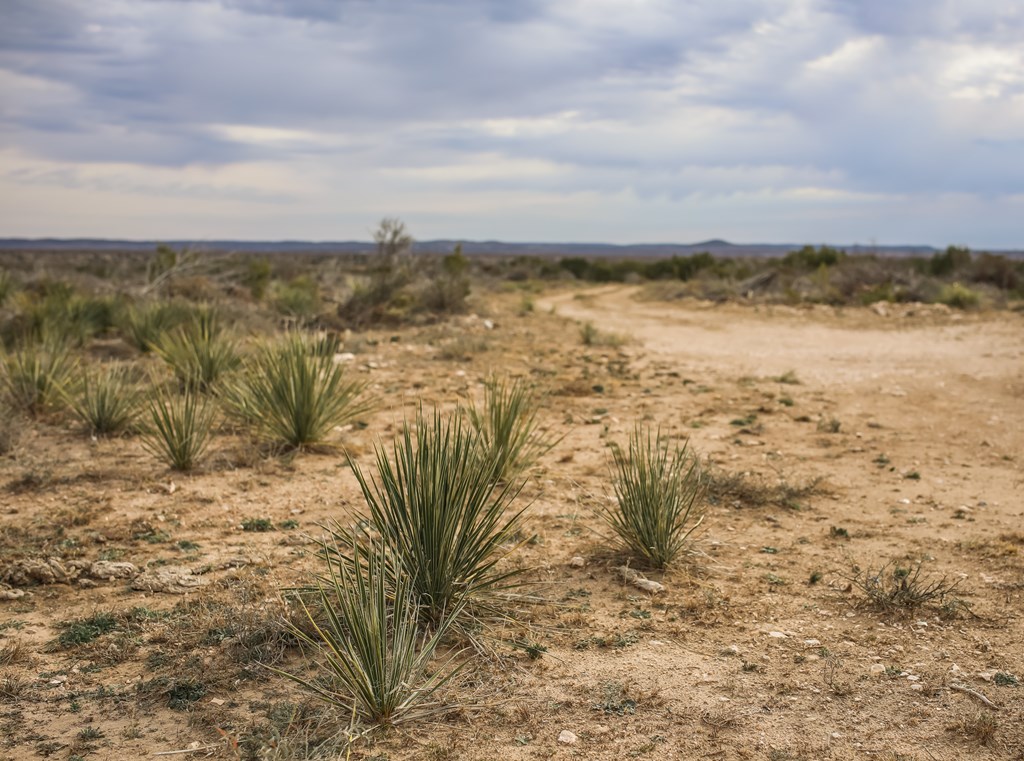 12088 Mule Deer Trail #7, San Angelo, Texas image 29