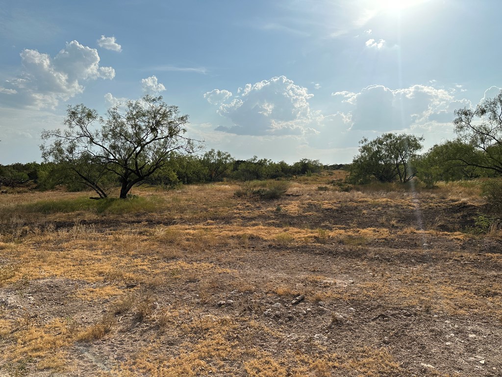 12088 Mule Deer Trail #7, San Angelo, Texas image 17