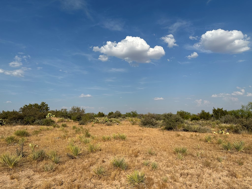 12088 Mule Deer Trail #7, San Angelo, Texas image 13