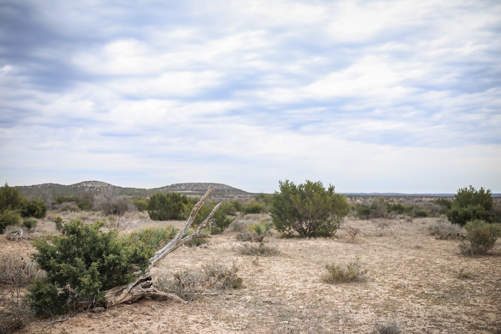 12088 Mule Deer Trail #7, San Angelo, Texas image 32