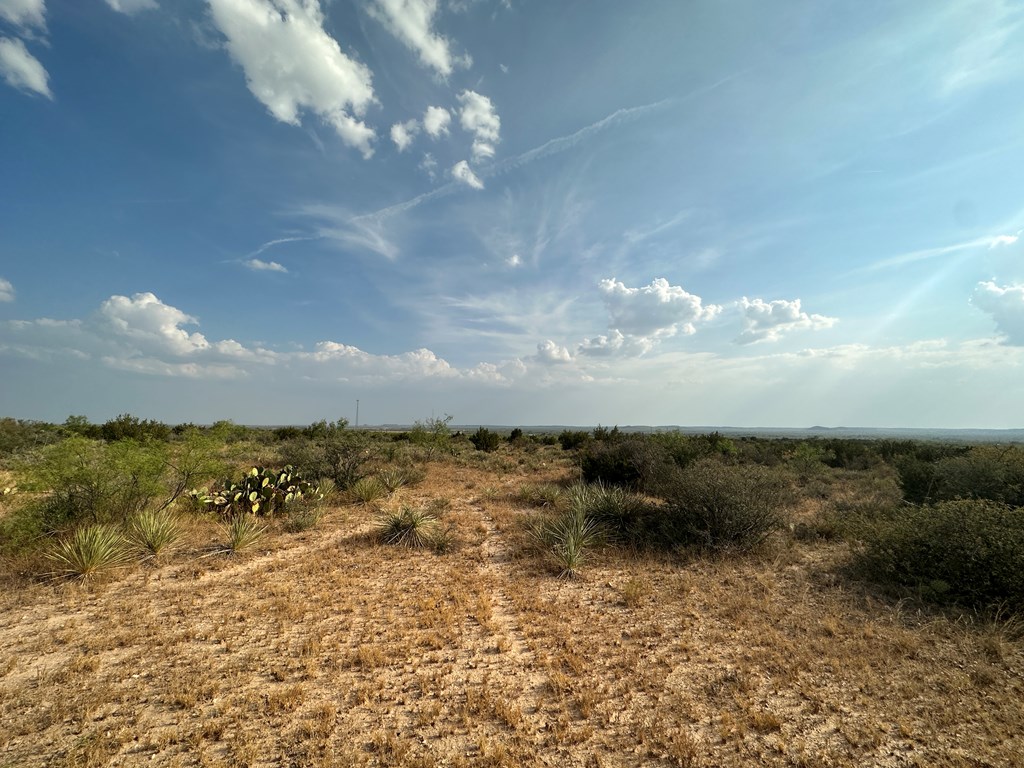 12088 Mule Deer Trail #7, San Angelo, Texas image 12