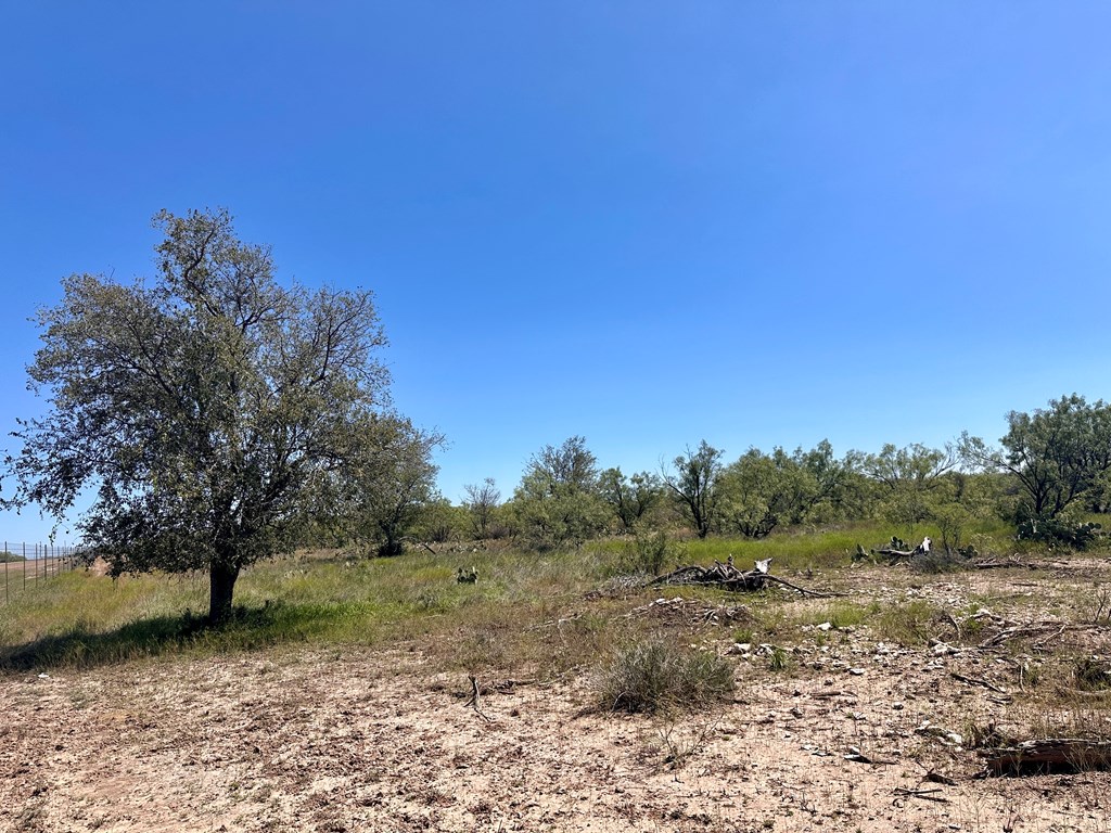 12088 Mule Deer Trail #7, San Angelo, Texas image 3