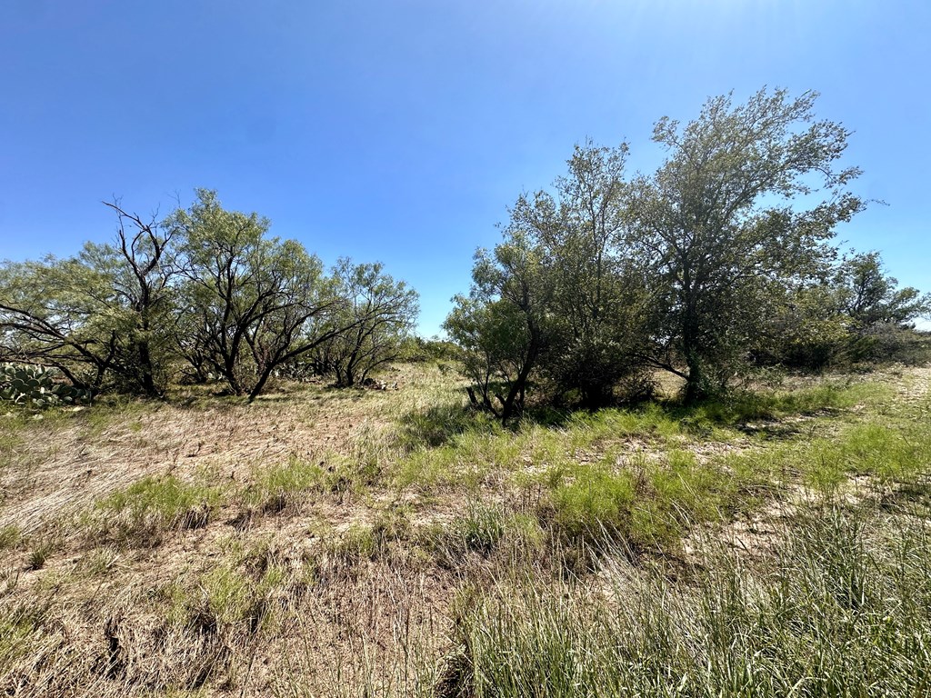 12088 Mule Deer Trail #7, San Angelo, Texas image 8