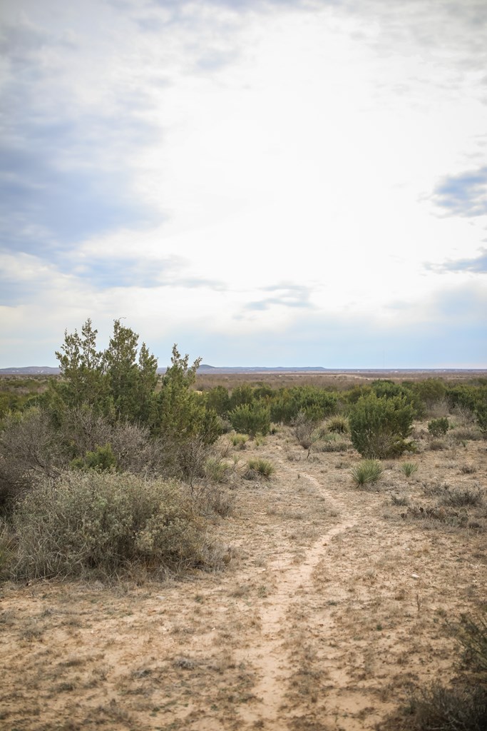 12088 Mule Deer Trail #7, San Angelo, Texas image 25