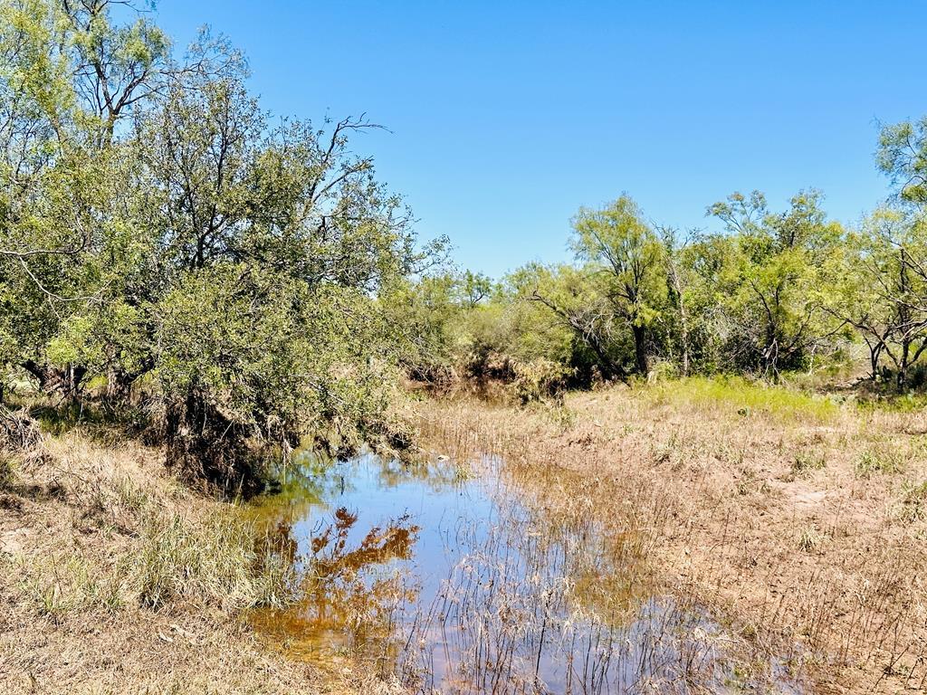 12088 Mule Deer Trail #7, San Angelo, Texas image 2