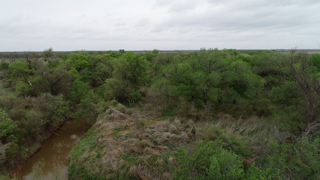 6061 Cr 216, Stamford, Texas image 7