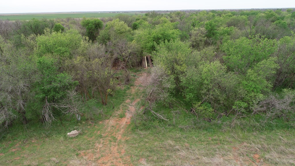 6061 Cr 216, Stamford, Texas image 14