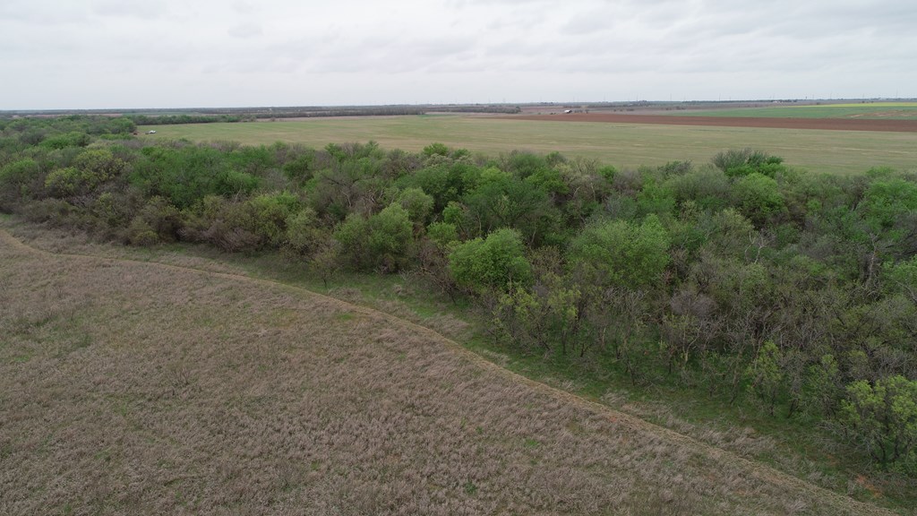 6061 Cr 216, Stamford, Texas image 11