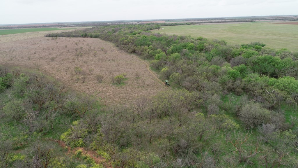 6061 Cr 216, Stamford, Texas image 9