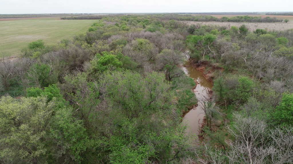 6061 Cr 216, Stamford, Texas image 13