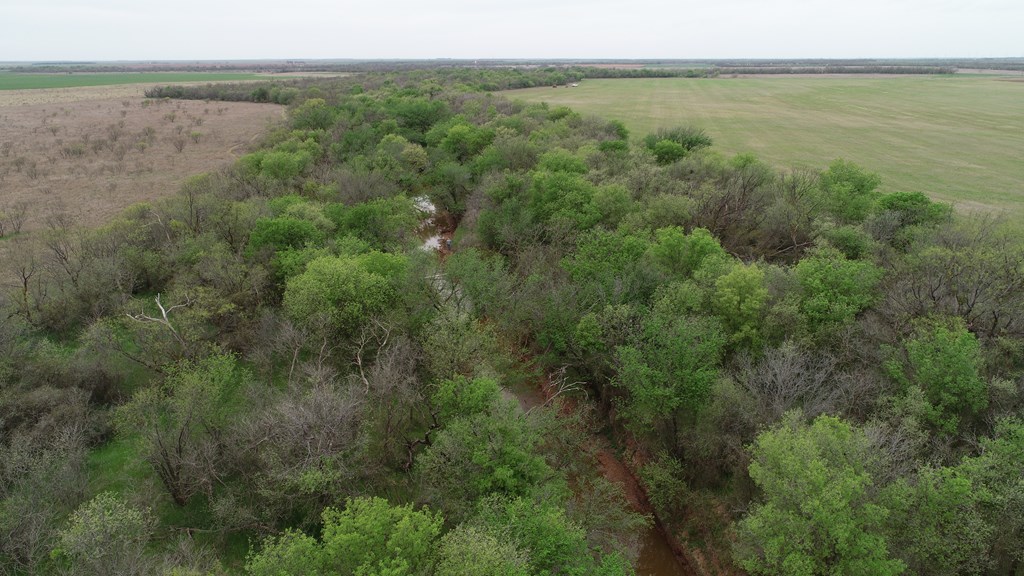 6061 Cr 216, Stamford, Texas image 18