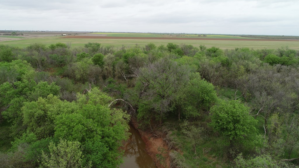 6061 Cr 216, Stamford, Texas image 8