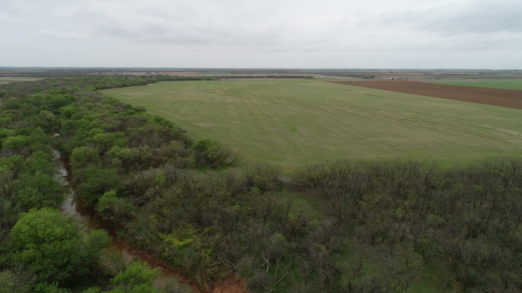 6061 Cr 216, Stamford, Texas image 4