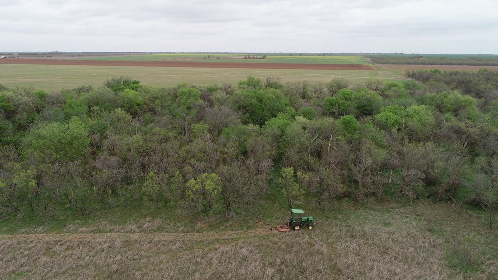 6061 Cr 216, Stamford, Texas image 10