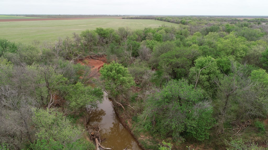 6061 Cr 216, Stamford, Texas image 17