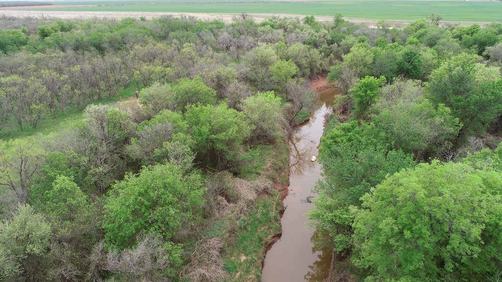 6061 Cr 216, Stamford, Texas image 16