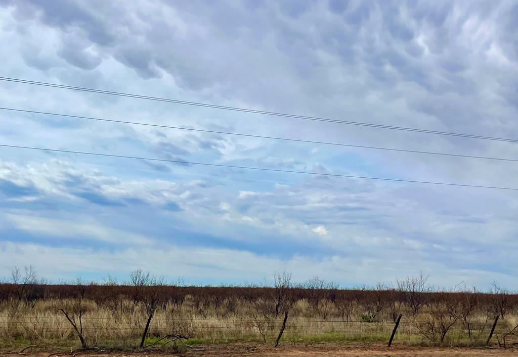 Ranch Road 2183 #ABST 300, Colorado City, Texas image 2