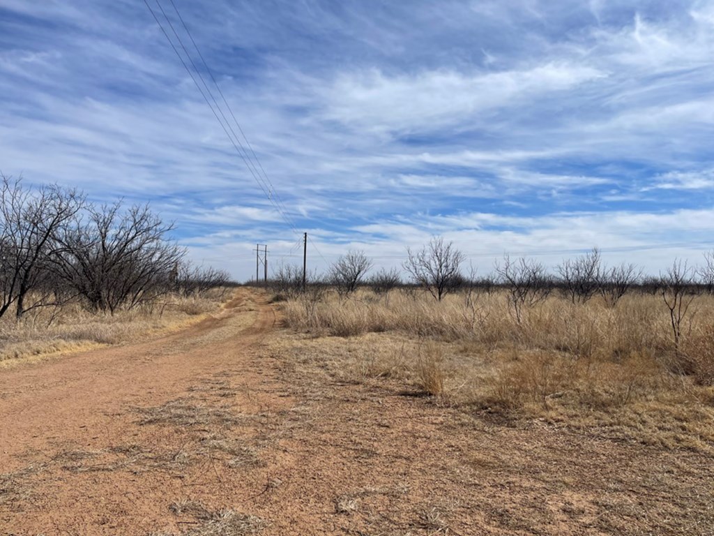 Ranch Road 2183 #ABST 300, Colorado City, Texas image 3