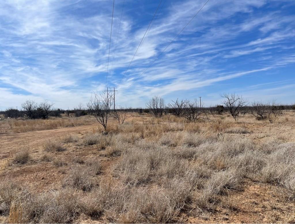 Ranch Road 2183 #ABST 300, Colorado City, Texas image 1