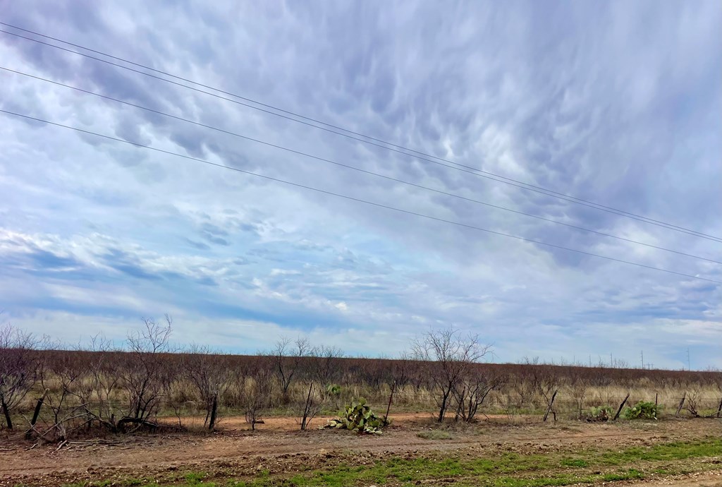 Ranch Road 2183 #ABST 300, Colorado City, Texas image 4