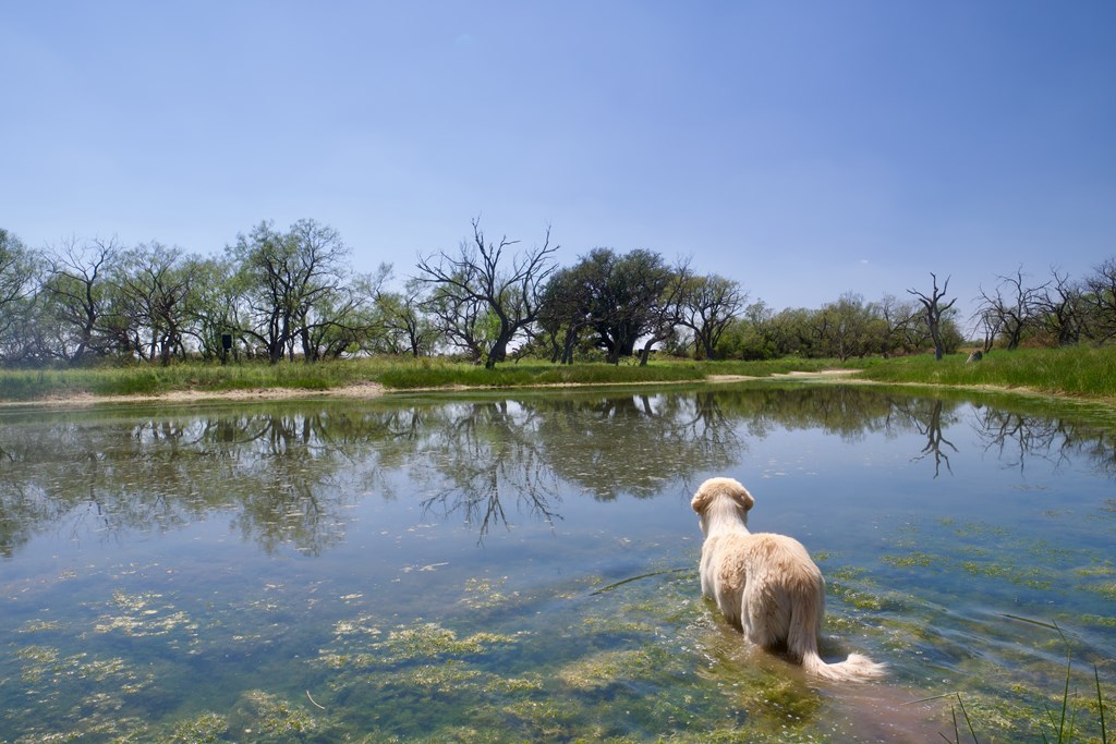 335 W Fm 765, Lohn, Texas image 17