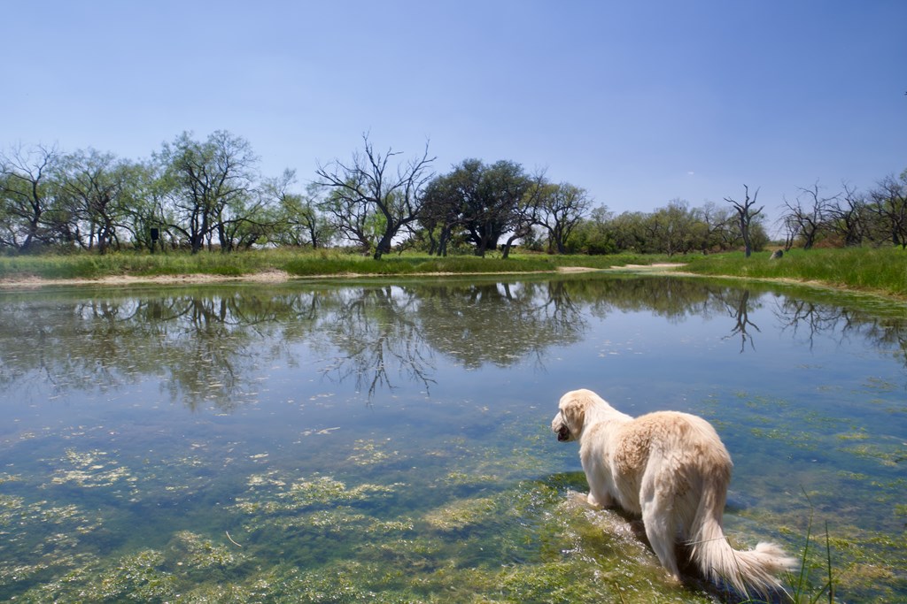 335 W Fm 765, Lohn, Texas image 16