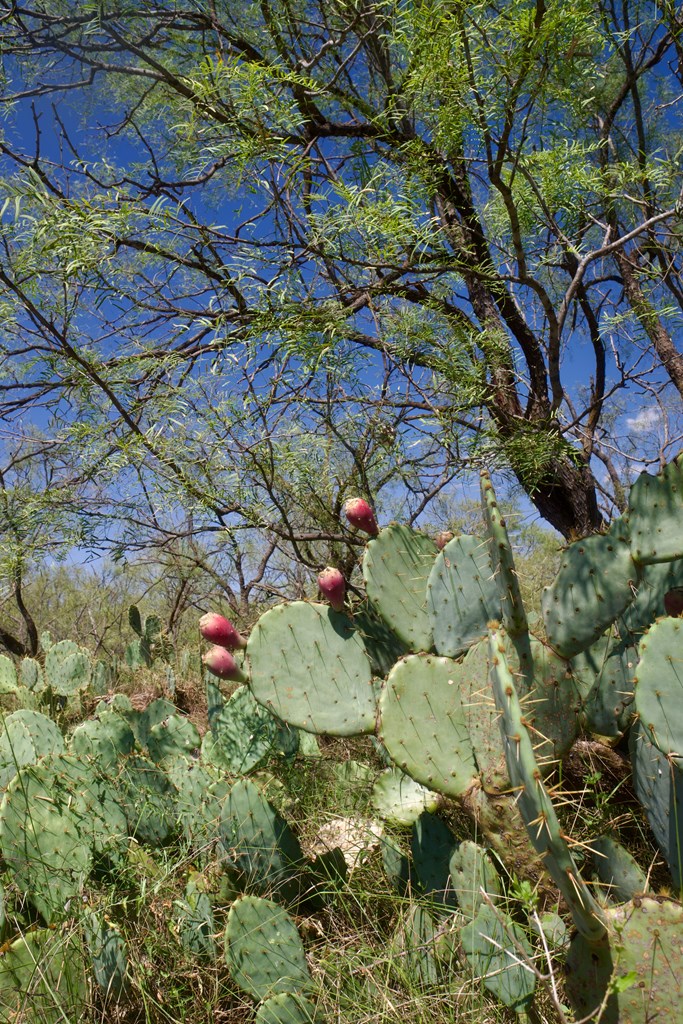 335 W Fm 765, Lohn, Texas image 35