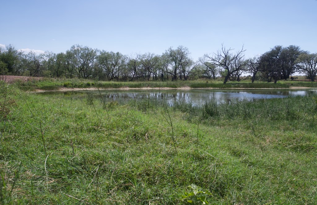 335 W Fm 765, Lohn, Texas image 12