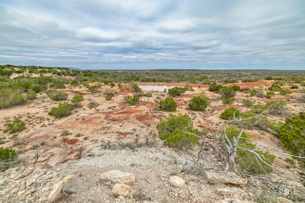 0000 Fm 2333, Tennyson, Texas image 23