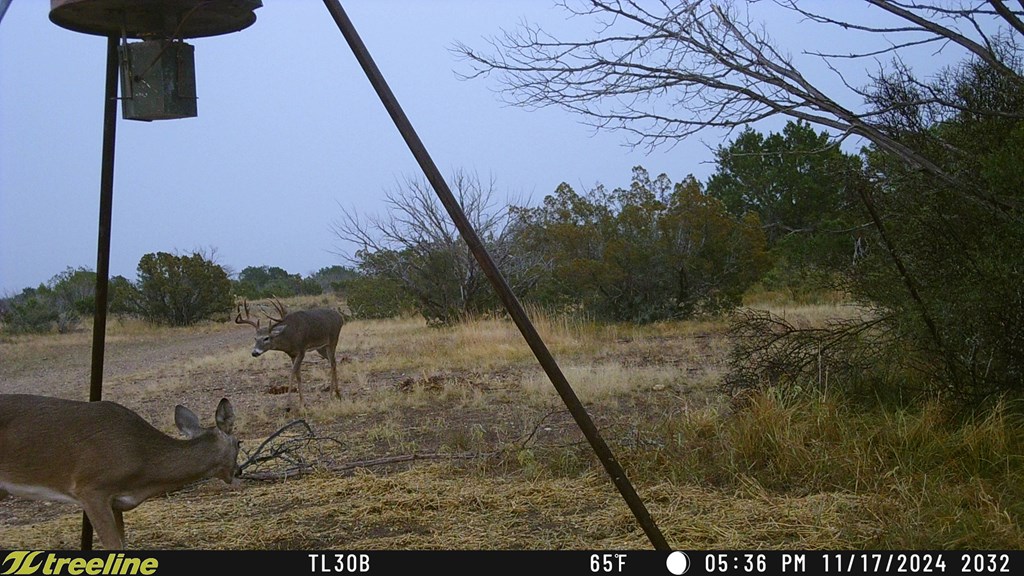 1348 Cougar Trail, Ozona, Texas image 17