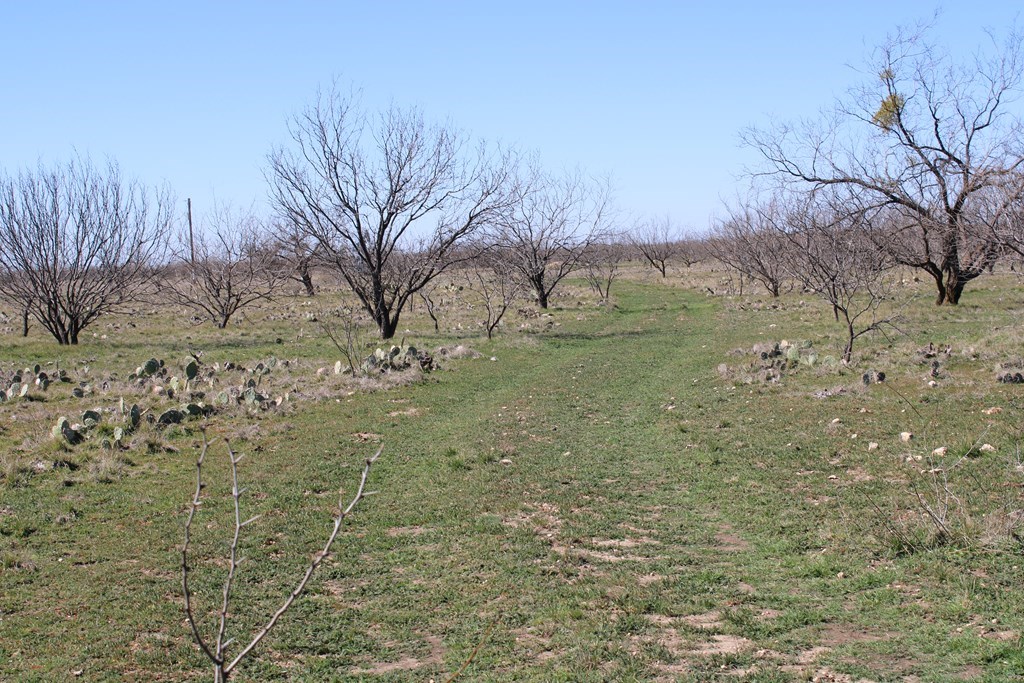 Hwy 67, Ballinger, Texas image 2