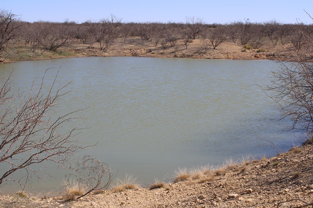 Hwy 67, Ballinger, Texas image 10