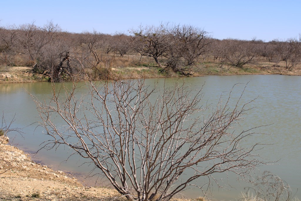 Hwy 67, Ballinger, Texas image 9