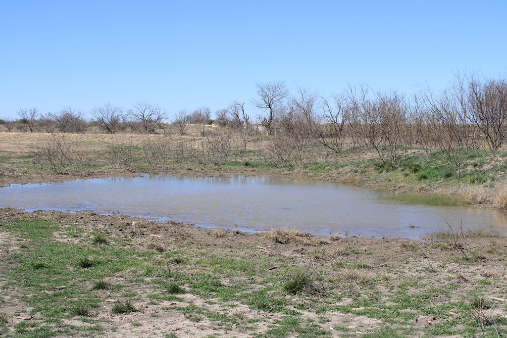 Hwy 67, Ballinger, Texas image 8