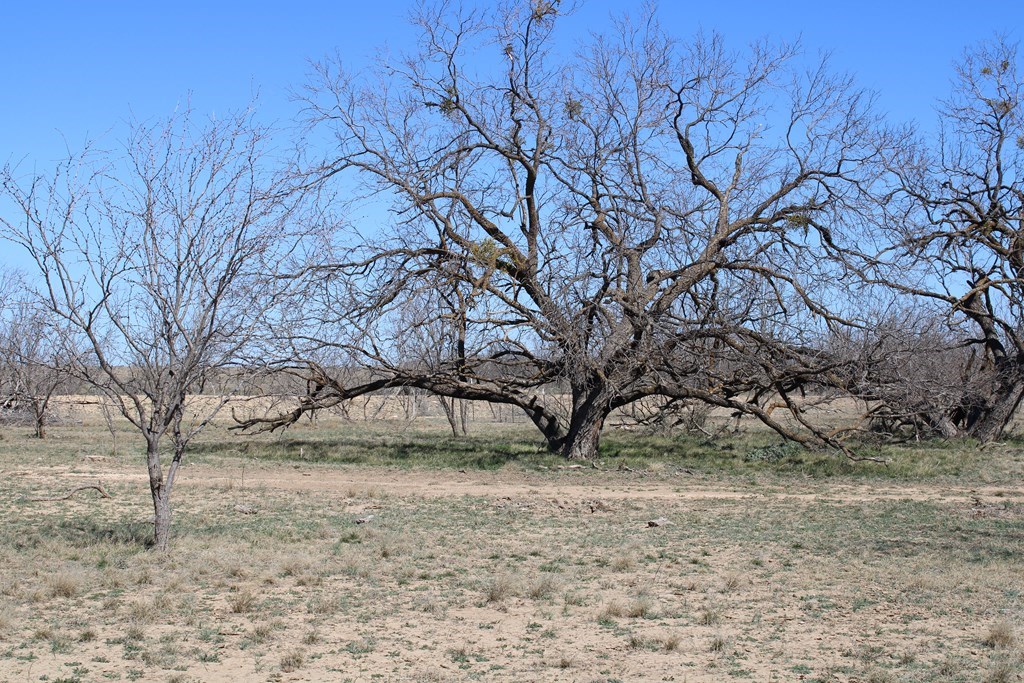 Hwy 67, Ballinger, Texas image 5