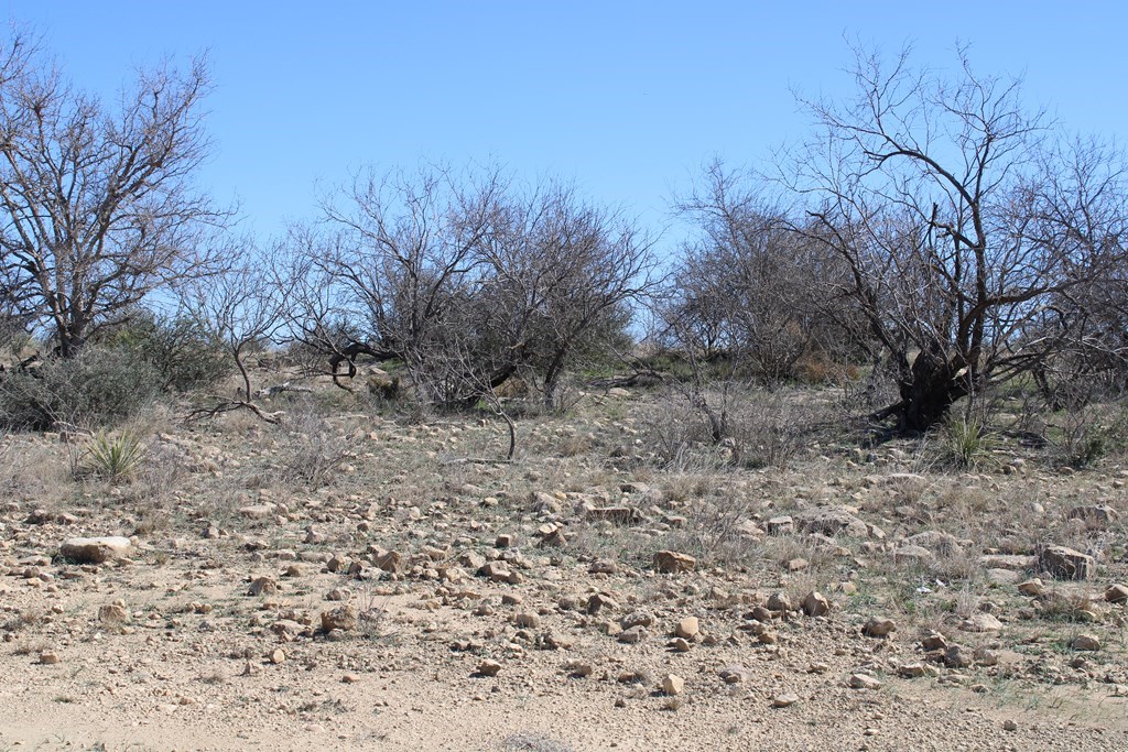 Hwy 67, Ballinger, Texas image 15