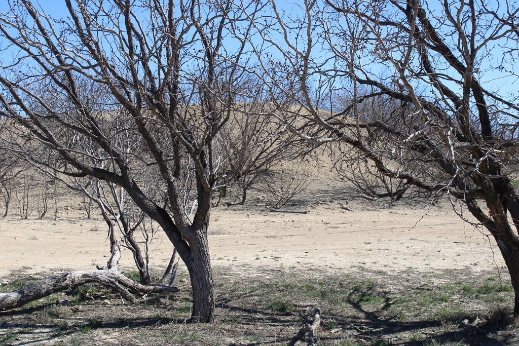 Hwy 67, Ballinger, Texas image 12