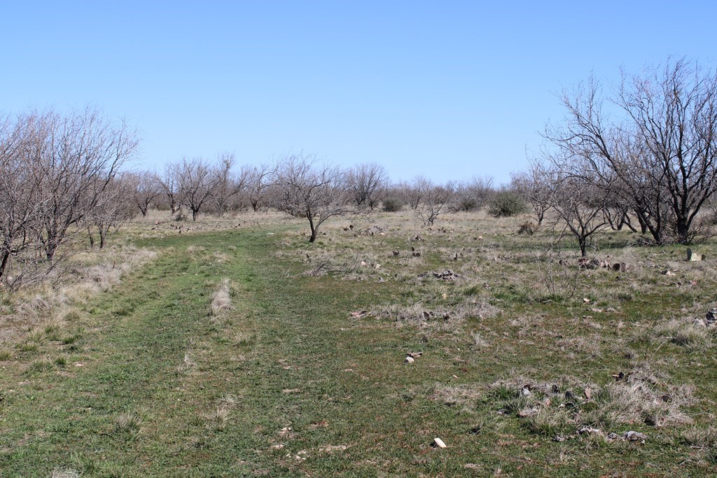 Hwy 67, Ballinger, Texas image 4