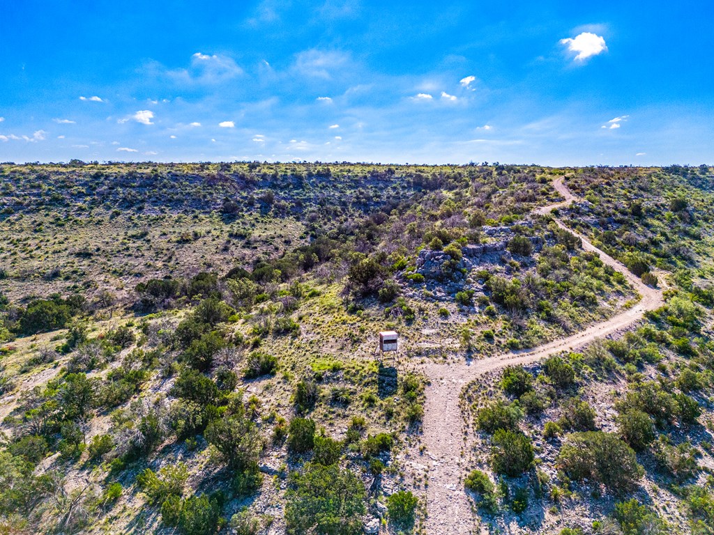 935 Deer Run Rd, Ozona, Texas image 11