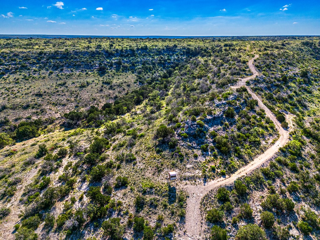 935 Deer Run Rd, Ozona, Texas image 9