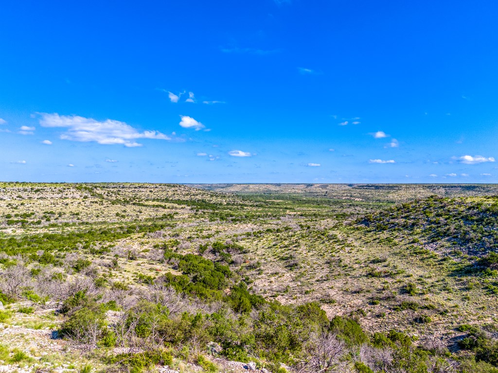 935 Deer Run Rd, Ozona, Texas image 12