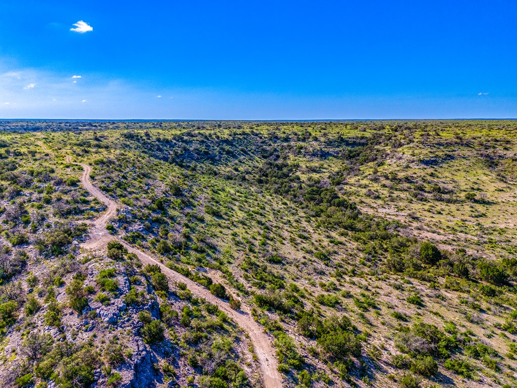 935 Deer Run Rd, Ozona, Texas image 8