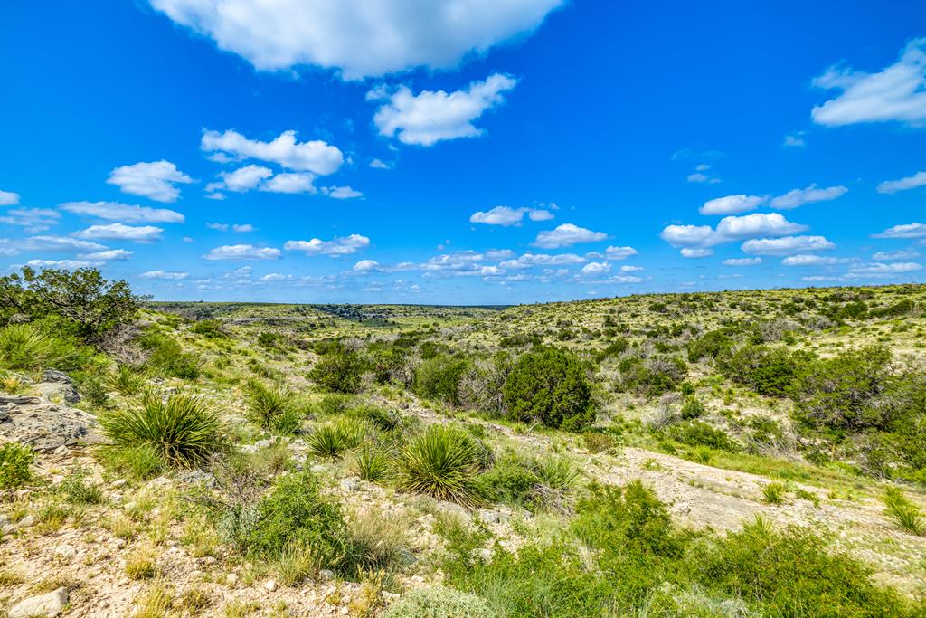 935 Deer Run Rd, Ozona, Texas image 1