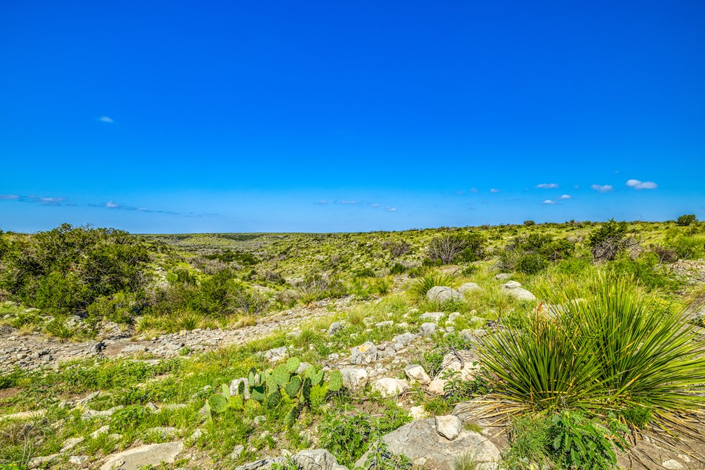 935 Deer Run Rd, Ozona, Texas image 31