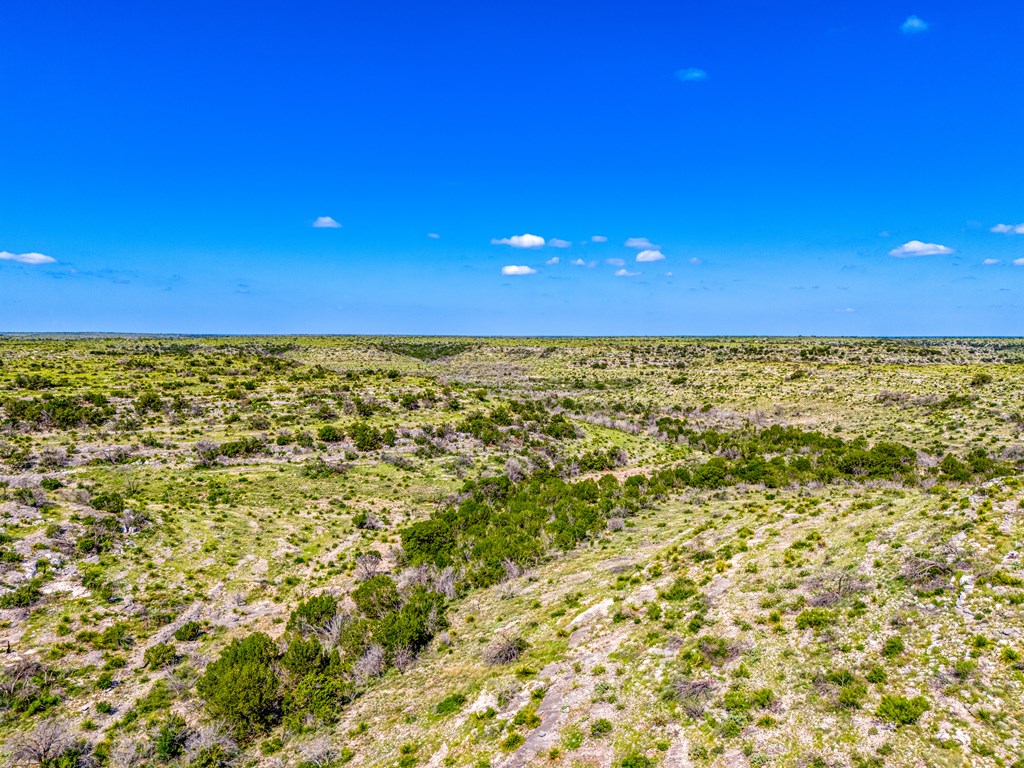 935 Deer Run Rd, Ozona, Texas image 33