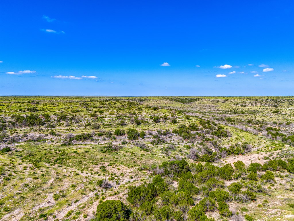 935 Deer Run Rd, Ozona, Texas image 34