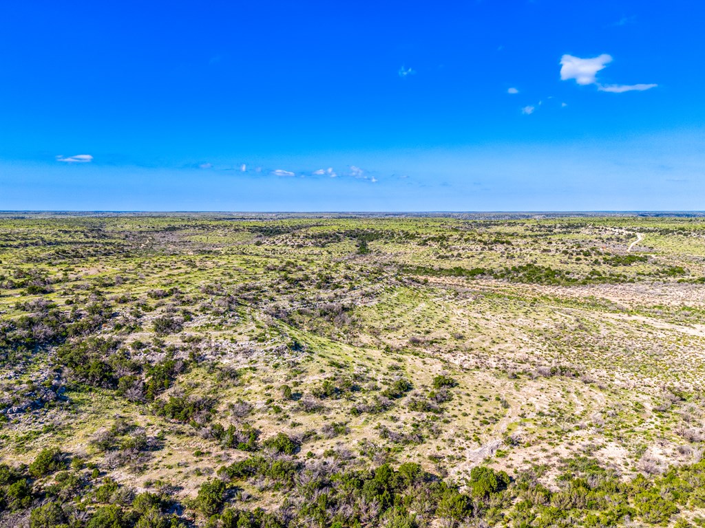 935 Deer Run Rd, Ozona, Texas image 14